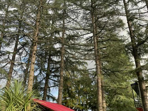 Отель в Чохатаури — Find off-plan property or real estate resale directly from developers and owners GEOLN.GE. Photo 5