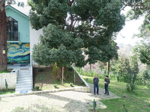 Дом мечты с видом на море в окружении природы — Пошуковик нерухомості від забудовників і власників GEOLN.GE. Фото 23