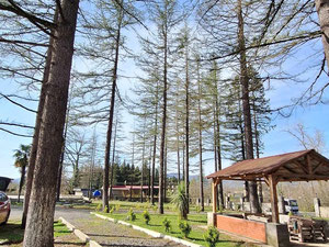 Отель в Чохатаури — Find off-plan property or real estate resale directly from developers and owners GEOLN.GE. Photo 7