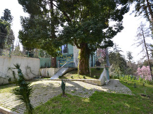 Дом мечты с видом на море в окружении природы — Пошуковик нерухомості від забудовників і власників GEOLN.GE. Фото 21